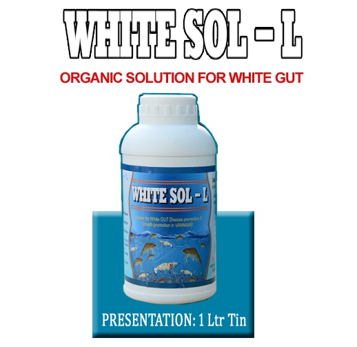WHITE SOL - L - ORGANIC SOLUTION FOR WHITE GUT